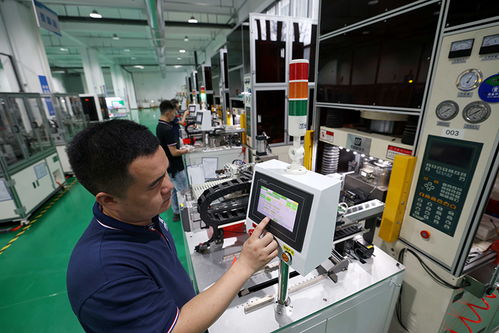 安徽合肥 培育科技型中小企業(yè)，以計(jì)算機(jī)軟硬件技術(shù)開發(fā)推動高質(zhì)量發(fā)展