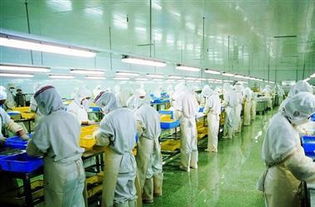 圖 上海凈化廠房裝修食品廠無菌十萬級無塵車間裝修 上海工裝裝修